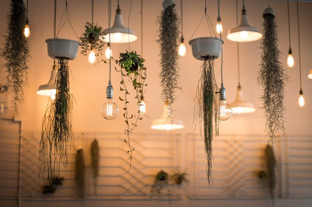 lights, decoration, hanging-1867437.jpg